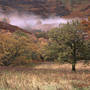 Wet day, Ardlui - sq Wet day, Ardlui - sq