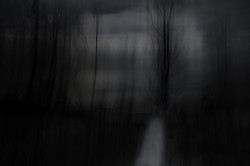 4249458034_6626f1eb75