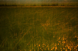 4639577667_17d7974c29