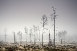 2011-01-04_19-57-10