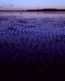 Portobello Portobello