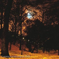 dsc_0894 dsc_0894