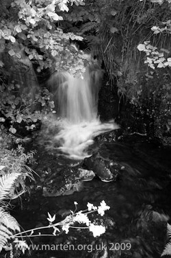 dsc_17251 dsc_17251