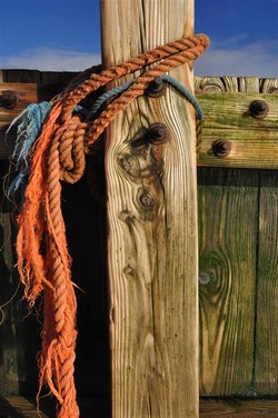 skeg rope detail (Large) skeg rope detail (Large)