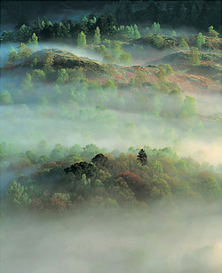 springmists Spring Mists