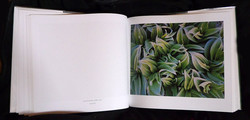 P10009431