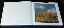 christopher-burkett-resplendent (10 of 14)