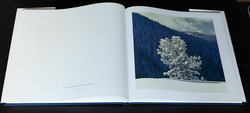 christopher-burkett-resplendent (11 of 14)