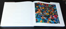 christopher-burkett-resplendent (13 of 14)