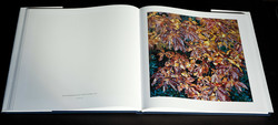 christopher-burkett-resplendent (14 of 14)