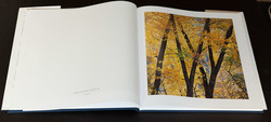 christopher-burkett-resplendent (5 of 14)