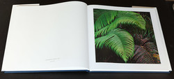 christopher-burkett-resplendent (6 of 14)