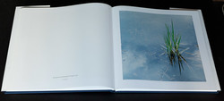 christopher-burkett-resplendent (8 of 14)