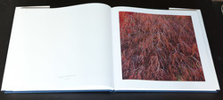 christopher-burkett-resplendent (9 of 14)