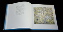 christopher-burkett-seasons (2 of 9)