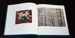christopher-burkett-seasons (3 of 9)