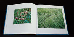 christopher-burkett-seasons (4 of 9)