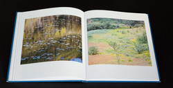 christopher-burkett-seasons (5 of 9)