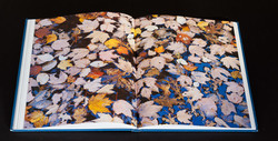 christopher-burkett-seasons (6 of 9)