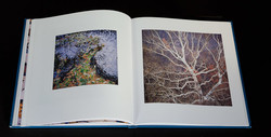 christopher-burkett-seasons (7 of 9)