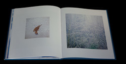 christopher-burkett-seasons (8 of 9)