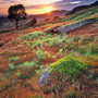 Kildale, summer sunsetSH16inch Kildale, summer sunsetSH16inch