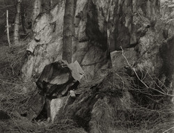johnblakemore053