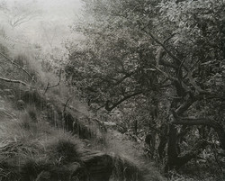 johnblakemore062