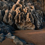 mewslade rocks (lrg)-sm mewslade rocks (lrg)-sm
