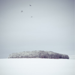 2011-05-01_16-29-10 2011-05-01_16-29-10