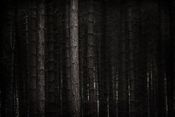 2011-05-01_16-29-52 2011-05-01_16-29-52