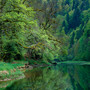 River Classic beauty?