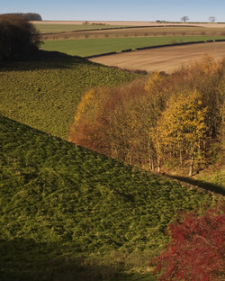 AutumnView AutumnView
