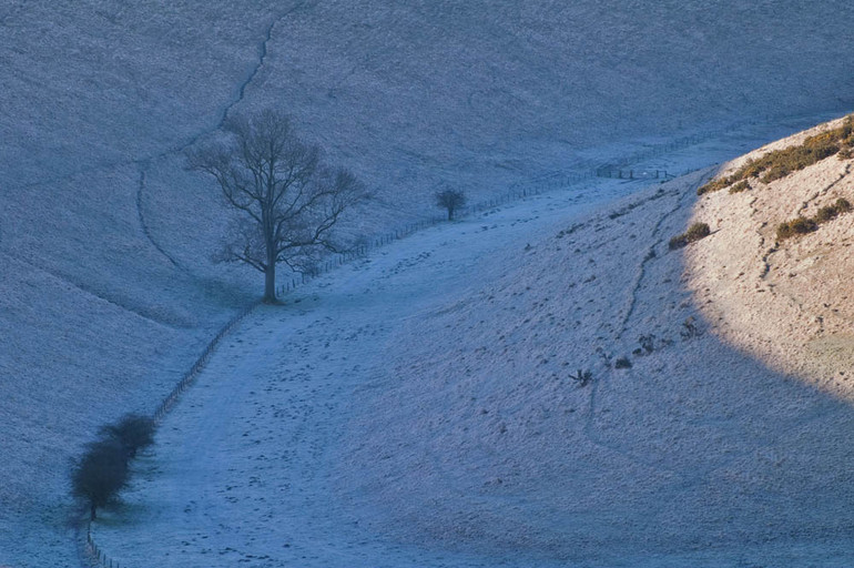 FrendalDaleFrost