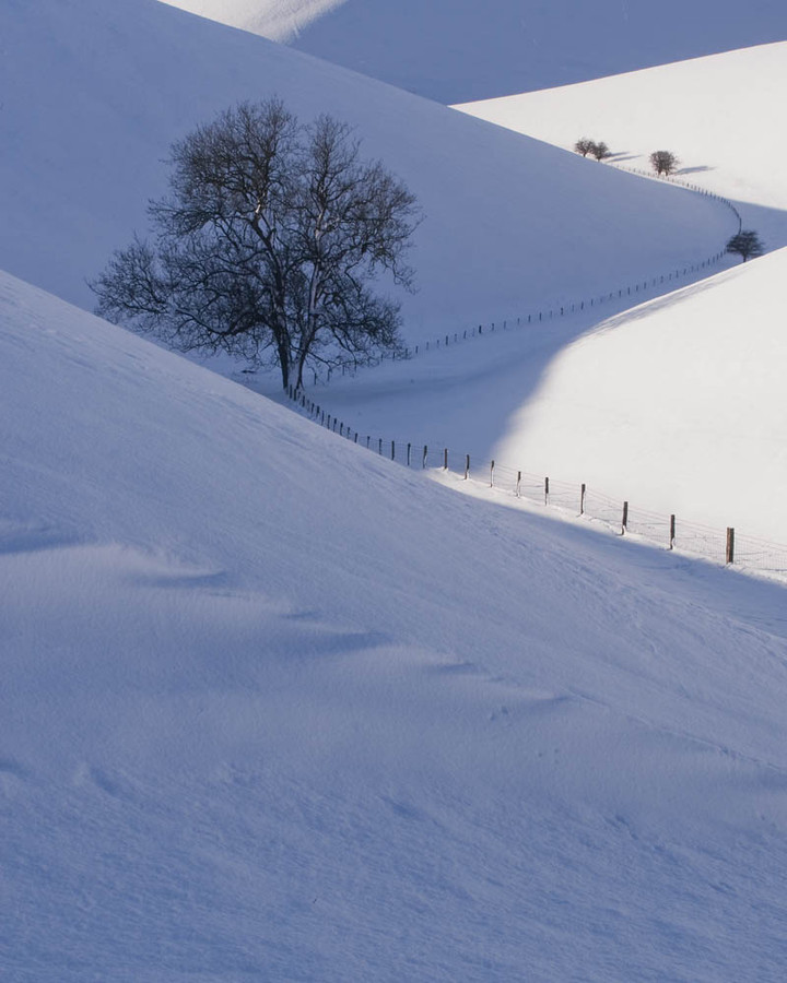 FrendalDaleSnow