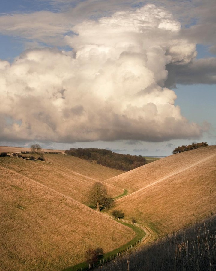 HorseDaleCloud