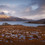 _NIK3939-Edit-small