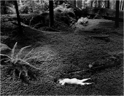 Wynn Bullock, Child in Forest, 1951