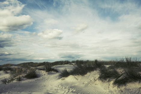 David Baker, Dunescape West Wittering.