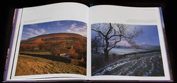 Landscapes of the Ribble - Andy Latham