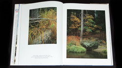 Carr Clifton Master Landscape Photographer Book review