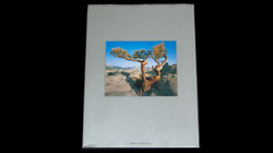 Carr Clifton Master Landscape Photographer Book review