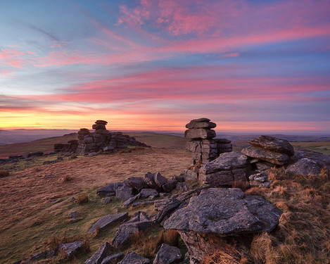 Alex Nail, pink staple tor