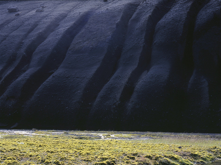 Furrows - Mamiya 645 - Velvia 50