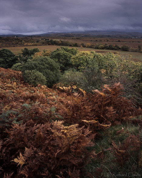 Moss of Achnacree