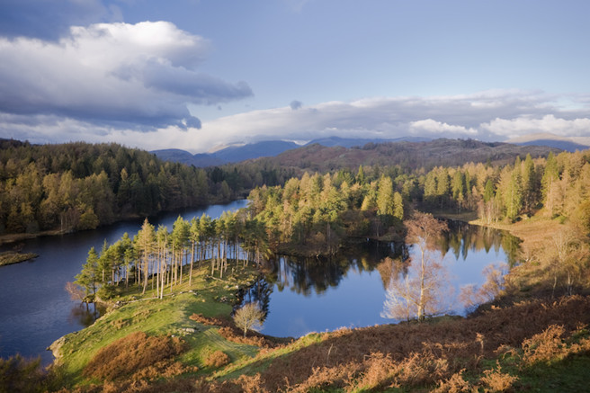 Tarn Hows Estate, Cumbria