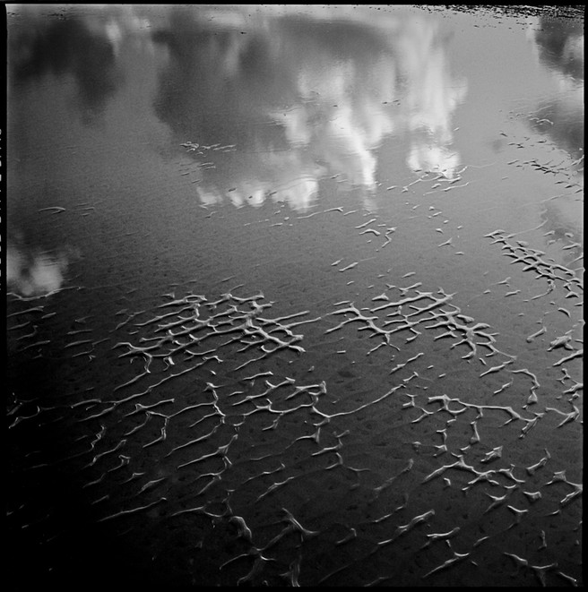 Poppit Sands Exploration  13