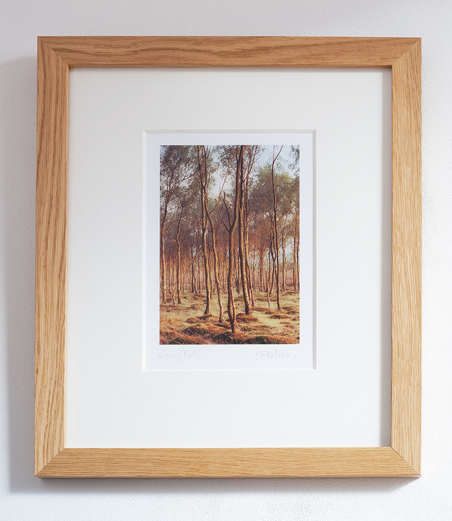 Framed print from 35mm film