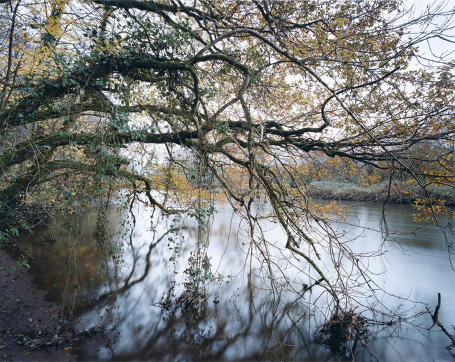 River Exe at Bickleigh, 22 November 2010 from the book ‘The River - Winter’