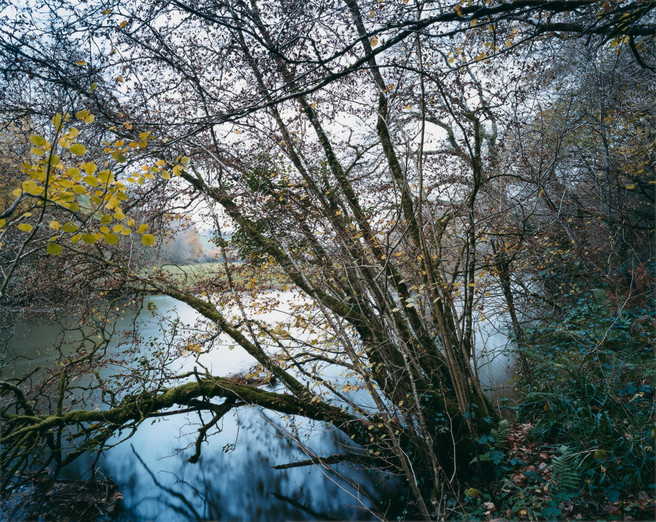 River Exe at Bickleigh, 22 November 2010 from the book ‘The River - Winter’